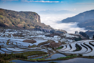 Photo- Asian agriculture